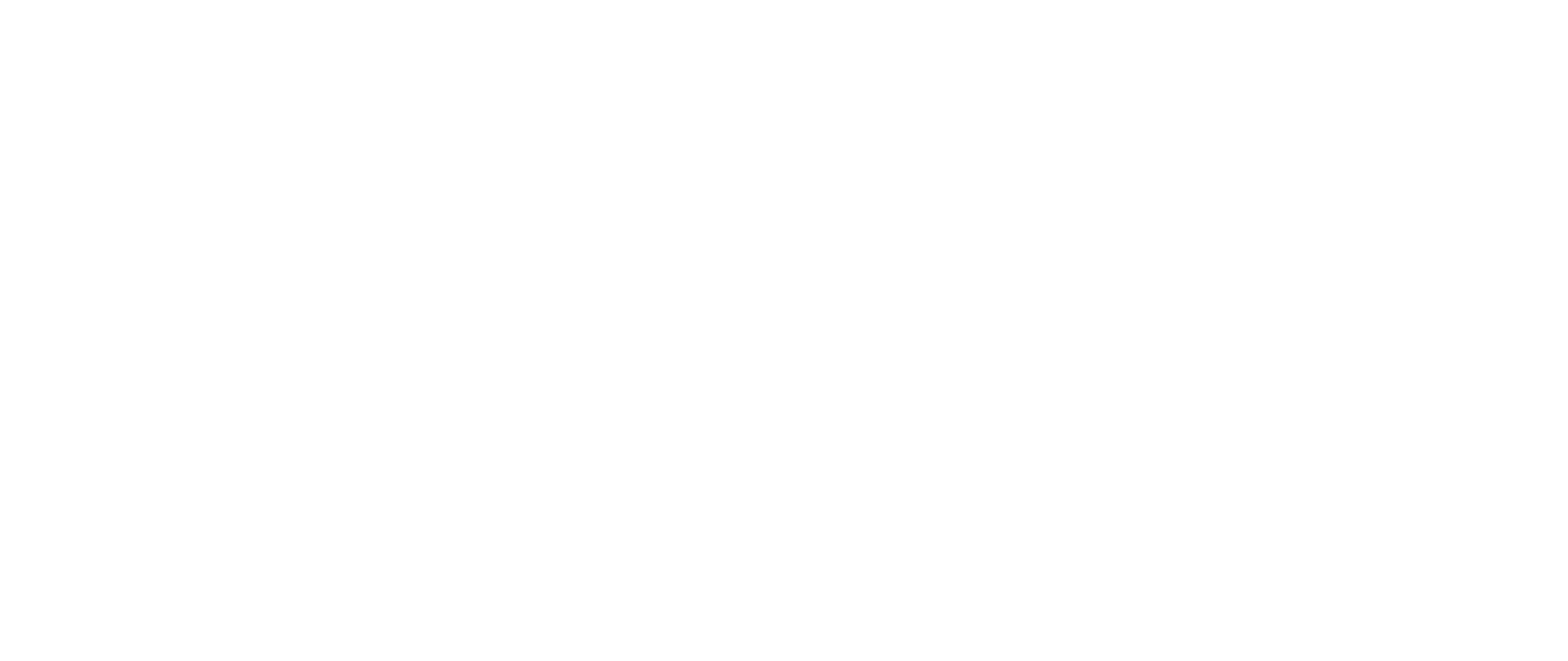 Logo Sping Digital Lab